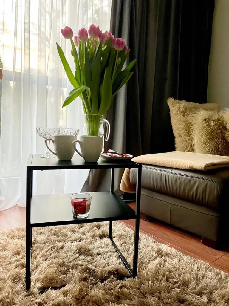 Royal Place 2 Bedrooms Wilanow Apartment